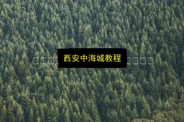 西安中海城教程插图 文章配图