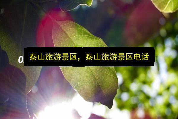 泰山旅游景区,泰山旅游景区电话插图 文章配图