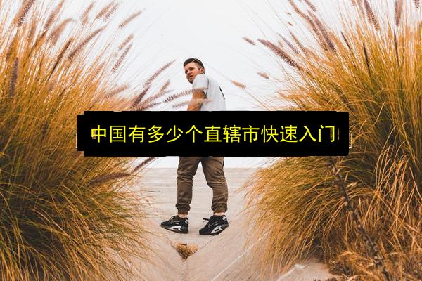 中国有多少个直辖市快速入门插图 文章配图