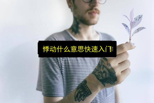 悸动什么意思快速入门插图 文章配图