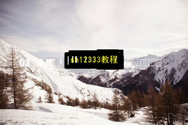 sh12333教程插图 文章配图