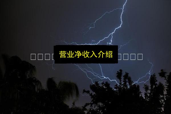 营业净收入介绍插图 文章配图