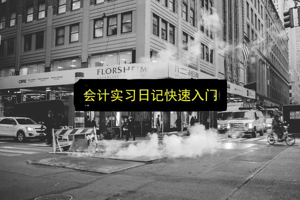 会计实习日记快速入门插图 文章配图