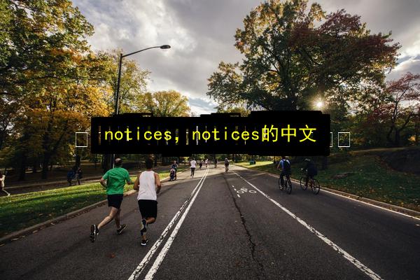 notices,notices的中文插图 文章配图
