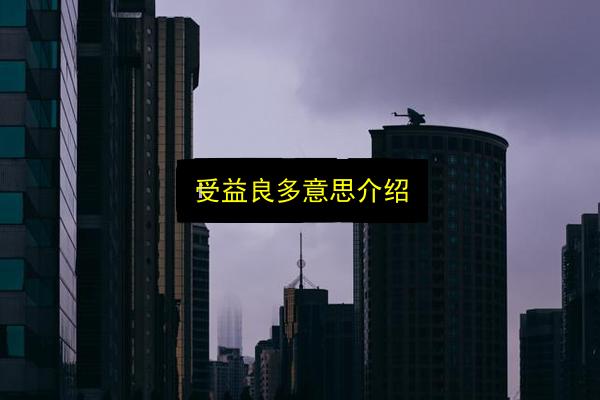 受益良多意思介绍插图 文章配图