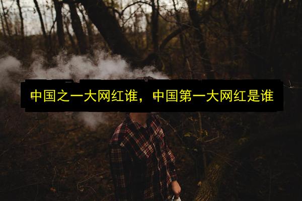 中国之一大网红谁,中国第一大网红是谁插图 文章配图
