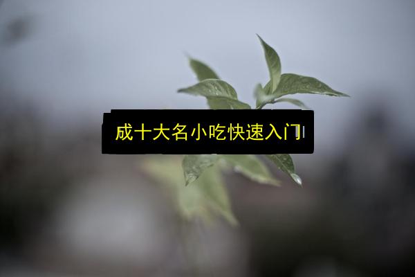 成十大名小吃快速入门插图 文章配图