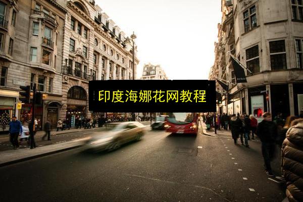 印度海娜花网教程插图 文章配图