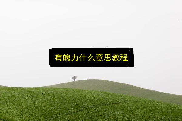 有魄力什么意思教程插图 文章配图