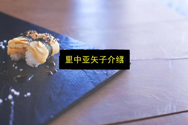 里中亚矢子介绍插图 文章配图