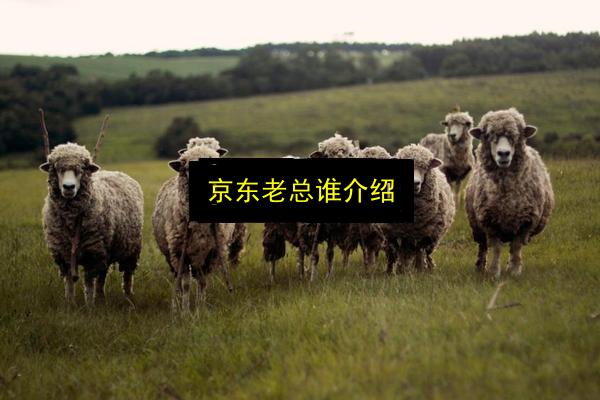 京东老总谁介绍插图 文章配图