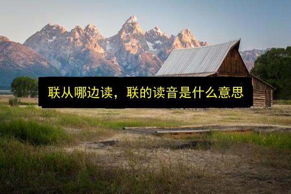 联从哪边读,联的读音是什么意思插图 文章配图