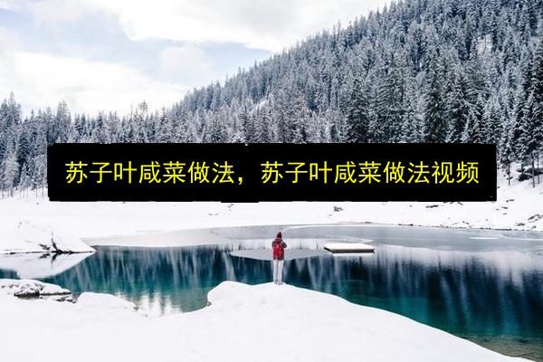 苏子叶咸菜做法,苏子叶咸菜做法视频插图 文章配图