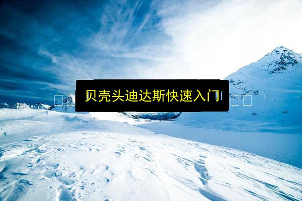 贝壳头迪达斯快速入门插图 文章配图