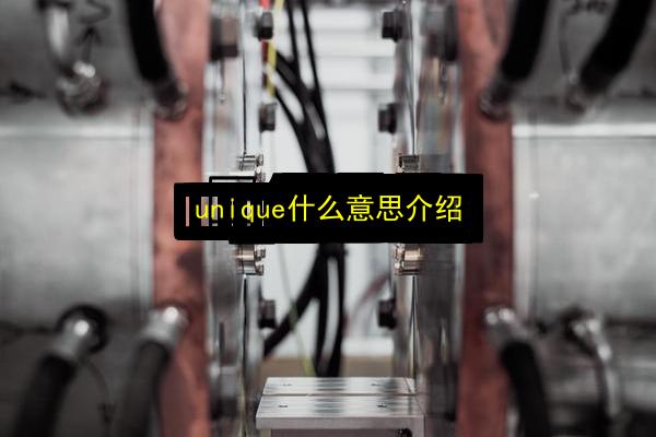 unique什么意思介绍插图 文章配图
