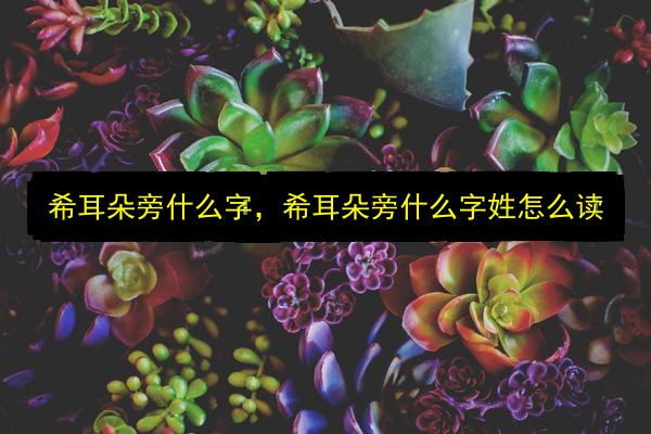 希耳朵旁什么字,希耳朵旁什么字姓怎么读插图 文章配图