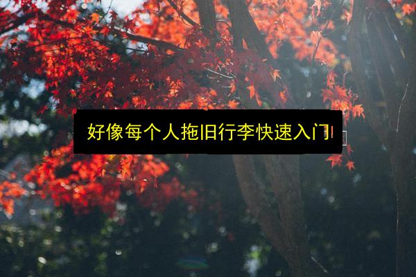 好像每个人拖旧行李快速入门插图 文章配图