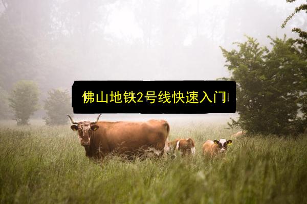 佛山地铁2号线快速入门插图 文章配图