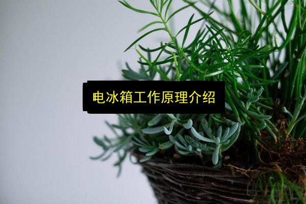 电冰箱工作原理介绍插图 文章配图