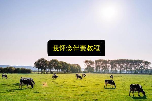 我怀念伴奏教程插图 文章配图