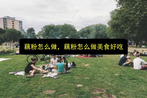 藕粉怎么做,藕粉怎么做美食好吃插图 文章配图