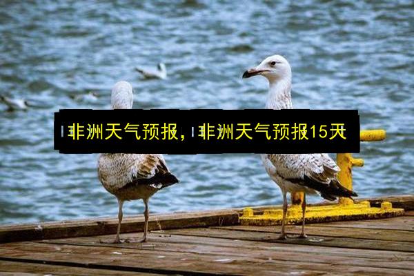 非洲天气预报,非洲天气预报15天插图 文章配图
