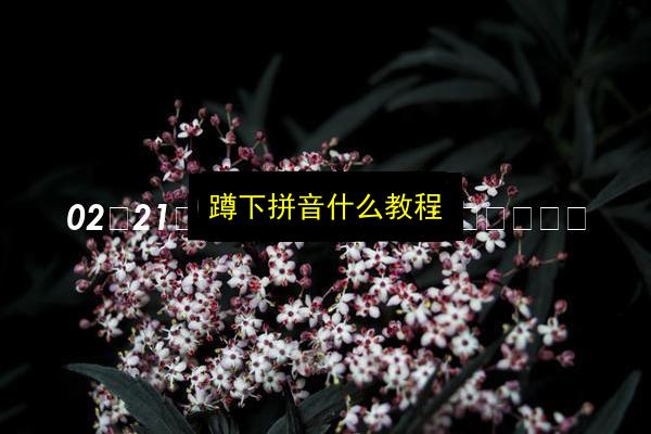 蹲下拼音什么教程插图 文章配图