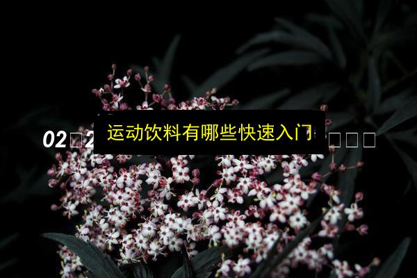 运动饮料有哪些快速入门插图 文章配图