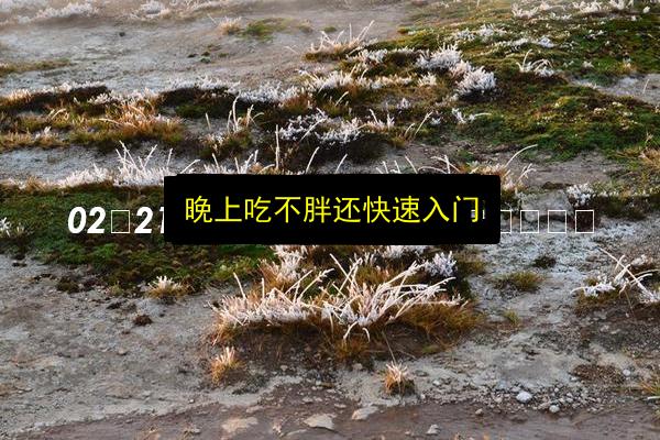 晚上吃不胖还快速入门插图 文章配图