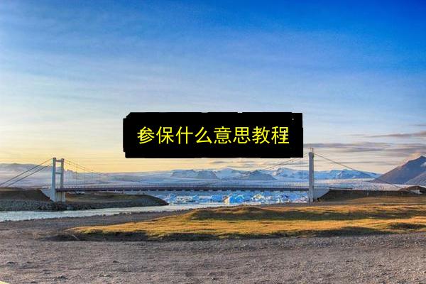 参保什么意思教程插图 文章配图