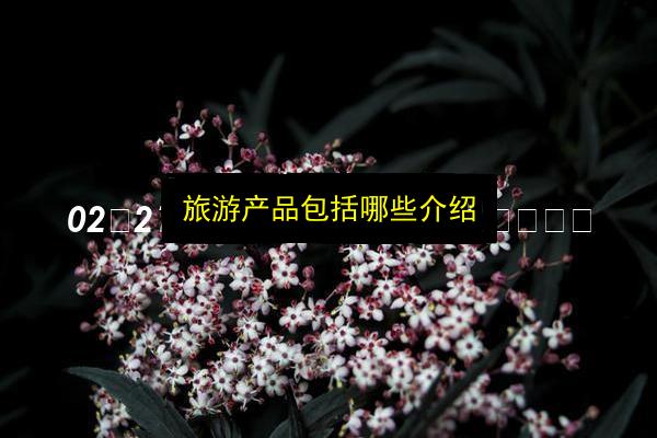 旅游产品包括哪些介绍插图 文章配图