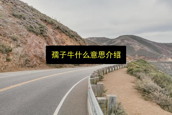 孺子牛什么意思介绍插图 文章配图
