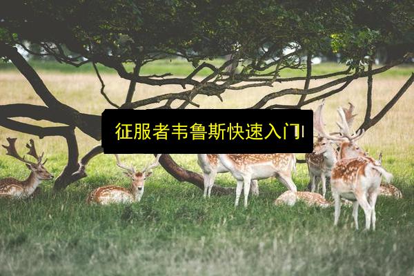 征服者韦鲁斯快速入门插图 文章配图